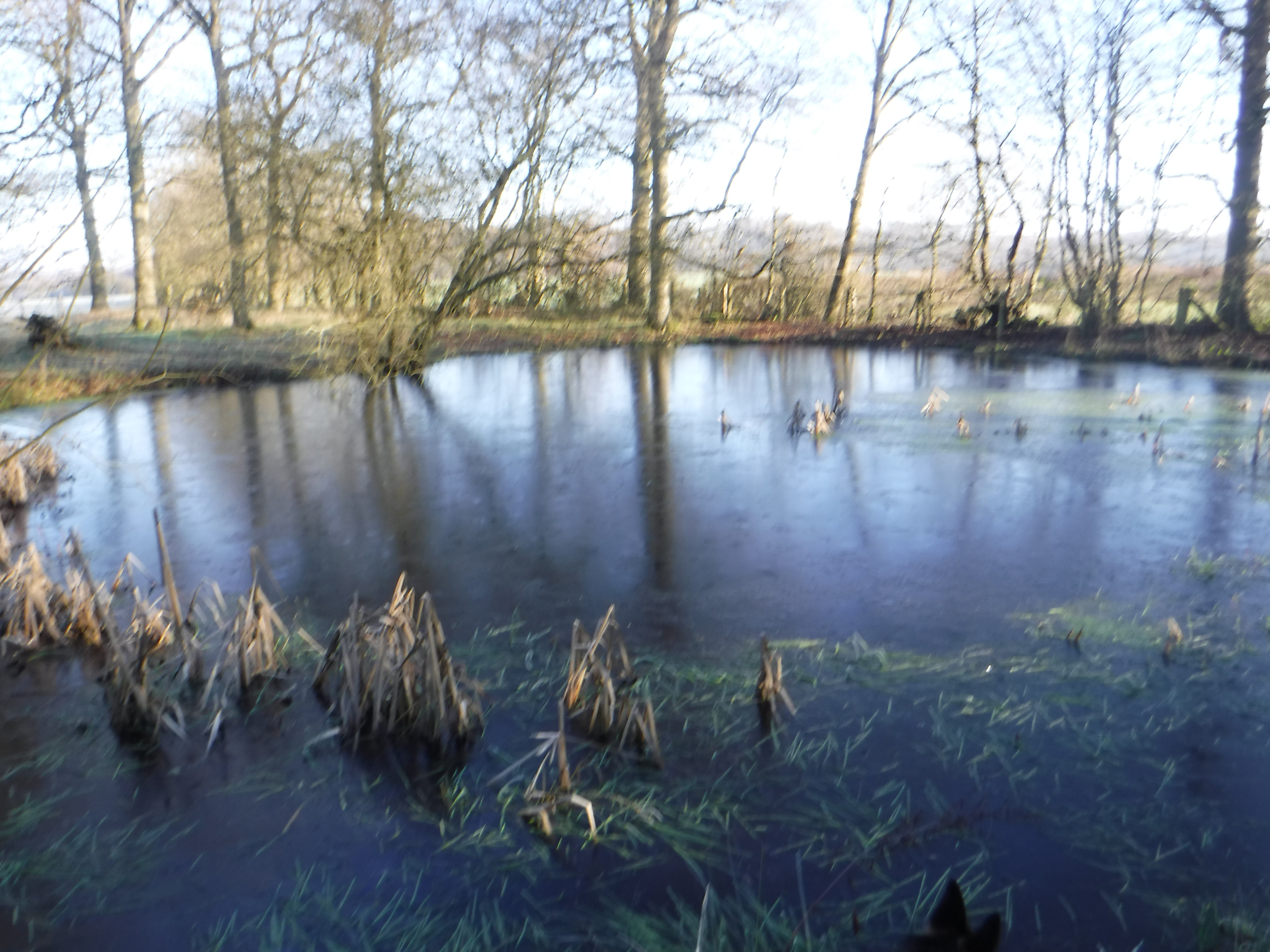 Nature Notes January 2020 Little Barton Farm Wildlife Notes News KFC